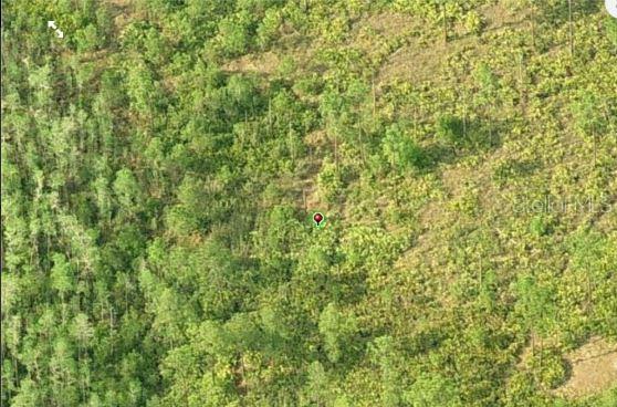 DILL RD, ORLANDO, FL, 32820