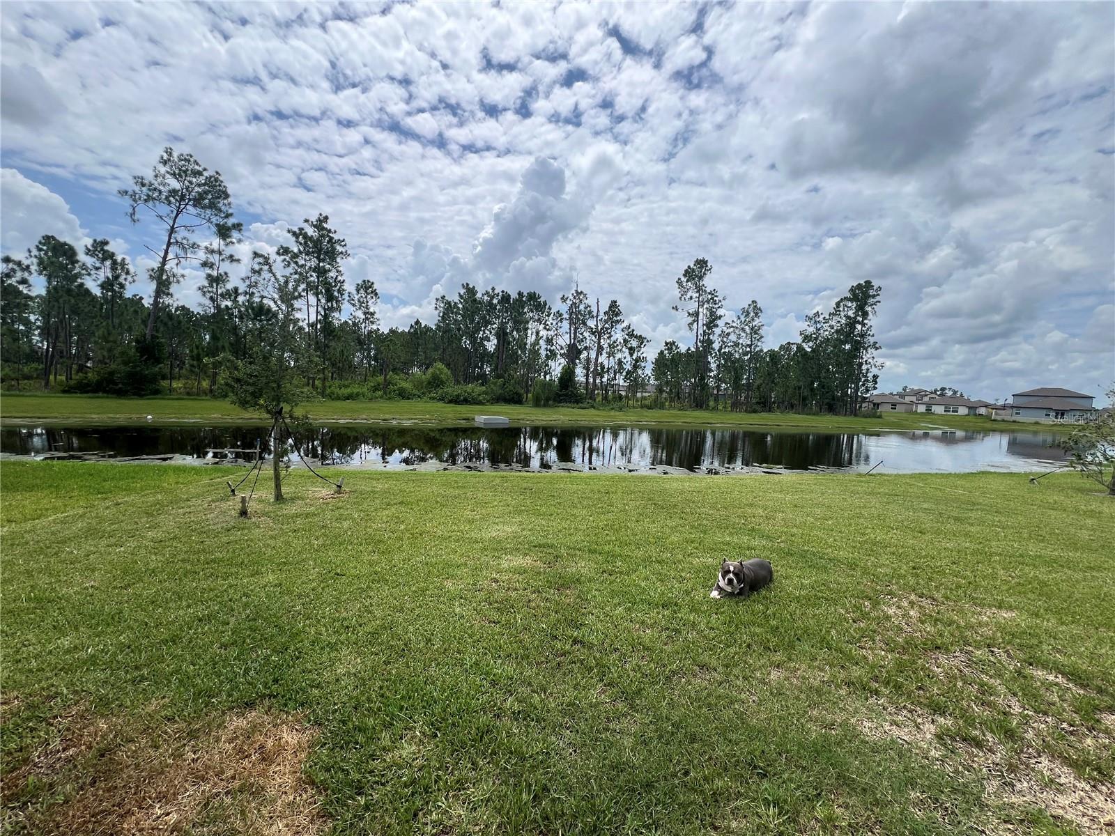1231 TAHITIAN SUNRISE DR, PLANT CITY, FL, 33565