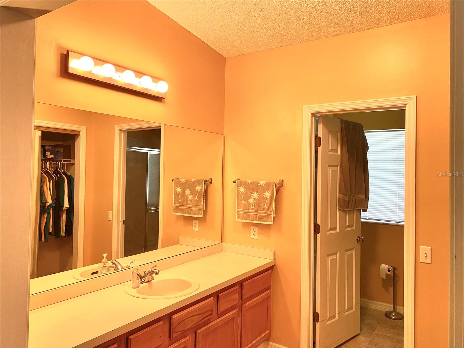 1150 PARADISE DR, THE VILLAGES, FL, 32159