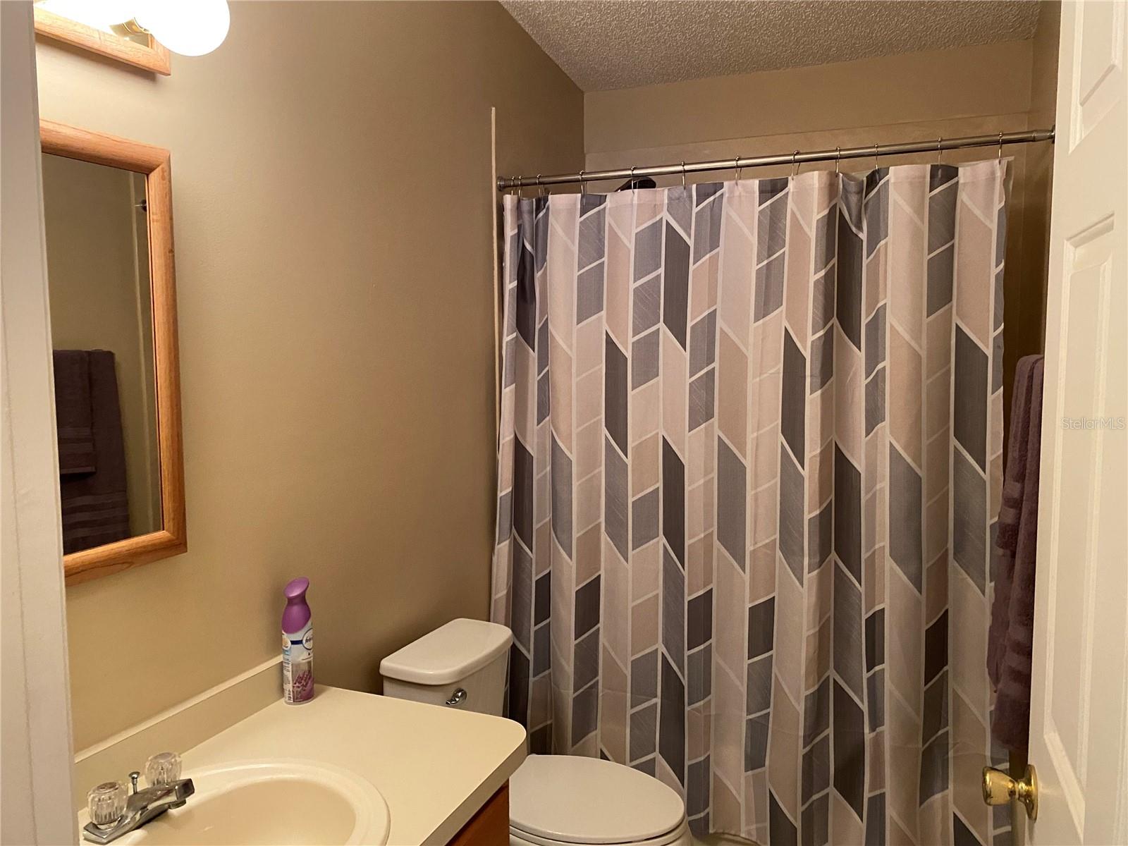 1150 PARADISE DR, THE VILLAGES, FL, 32159