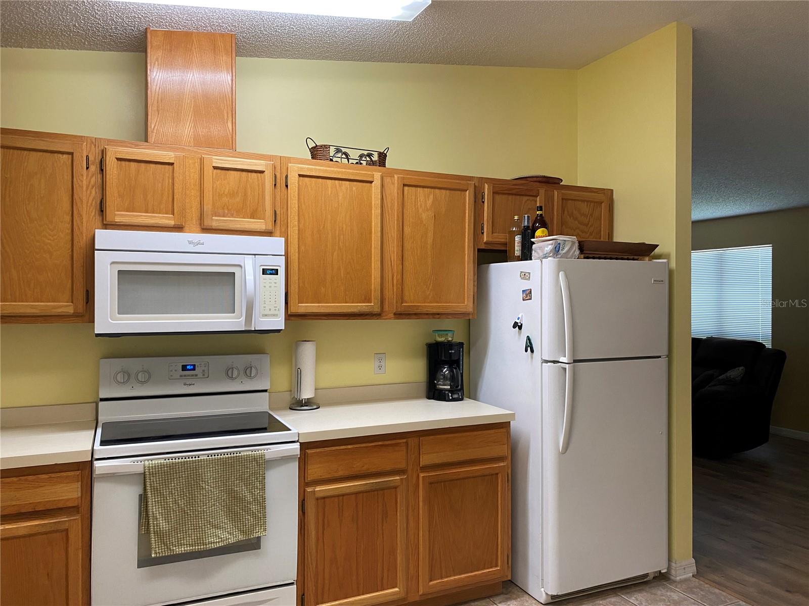 1150 PARADISE DR, THE VILLAGES, FL, 32159