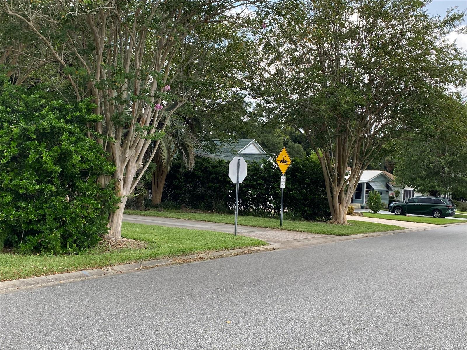 1150 PARADISE DR, THE VILLAGES, FL, 32159