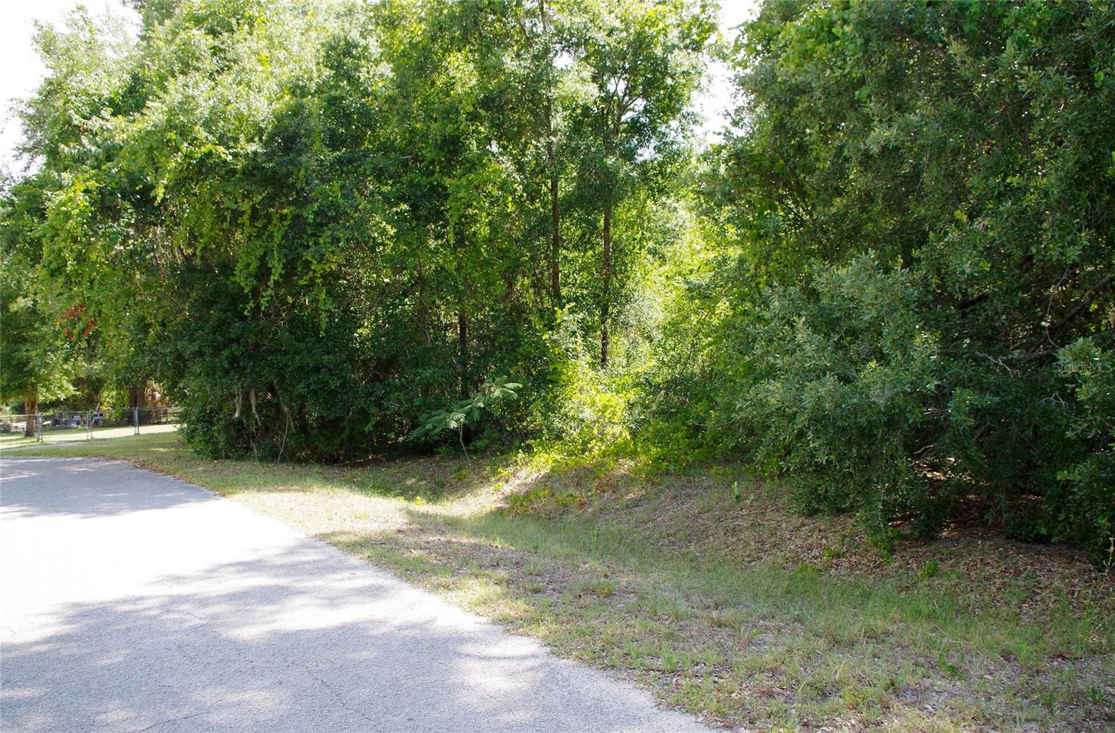 SE 105TH AVE, SUMMERFIELD, FL, 34491