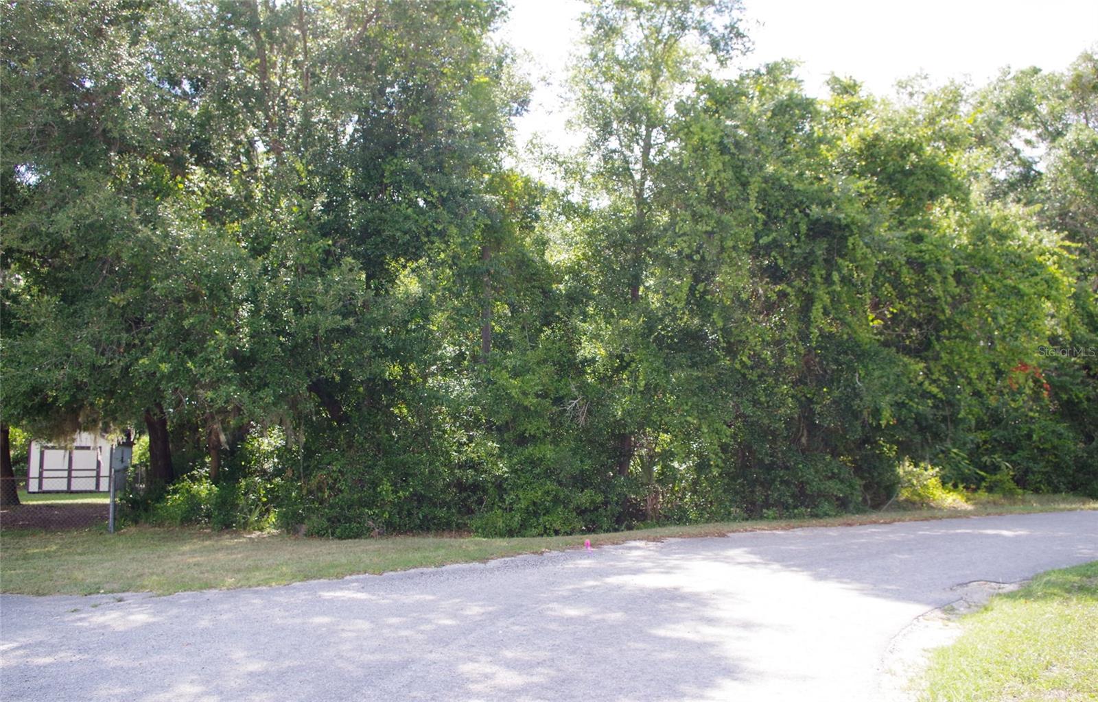 SE 105TH AVE, SUMMERFIELD, FL, 34491