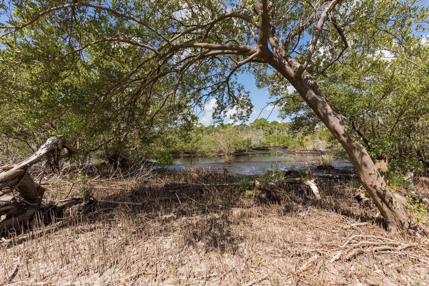 1465 LAMBERT AVE, FLAGLER BEACH, FL, 32136