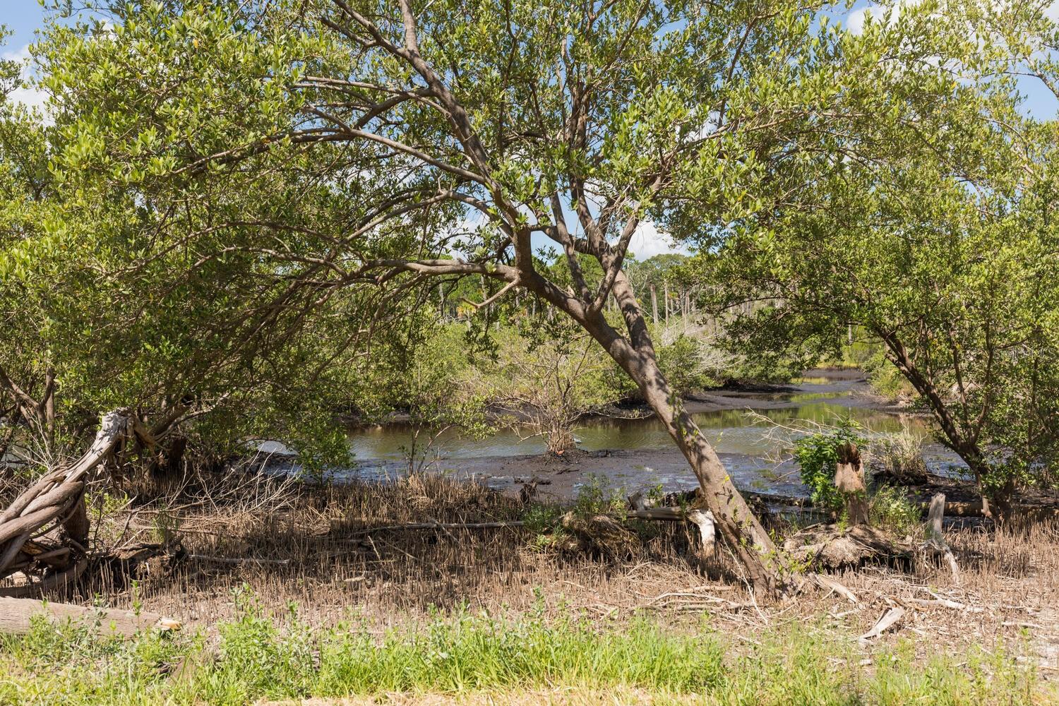 1465 LAMBERT AVE, FLAGLER BEACH, FL, 32136