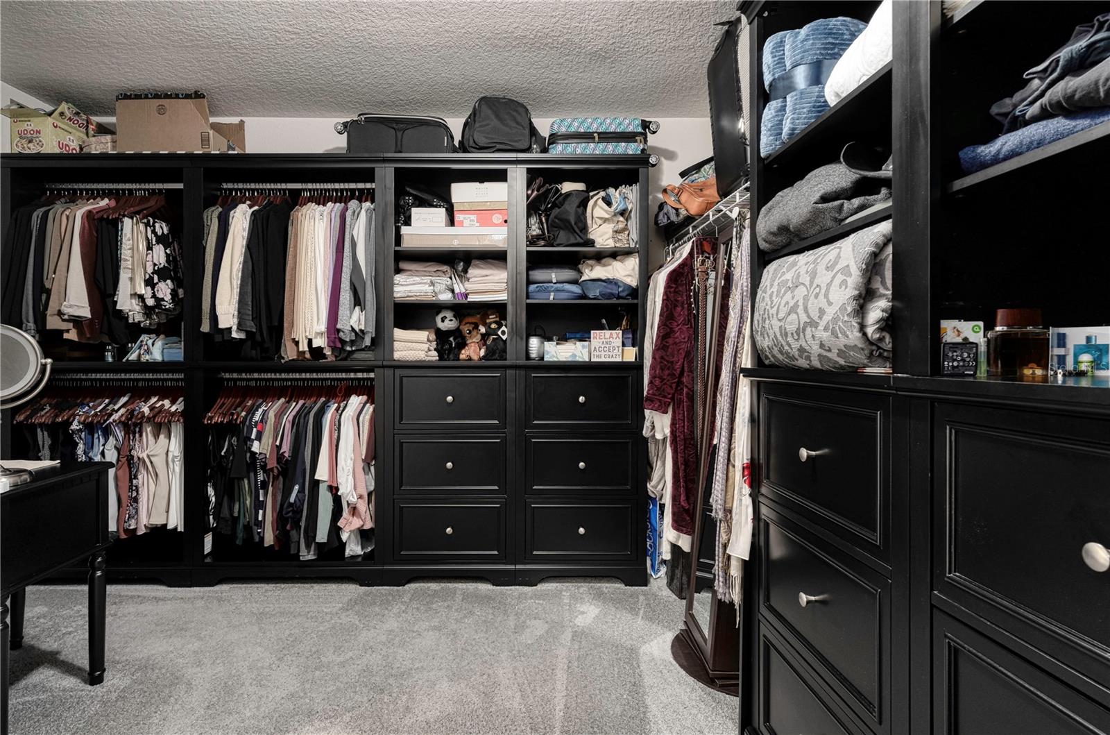 2237 PALMETUM LOOP, APOPKA, FL, 32712