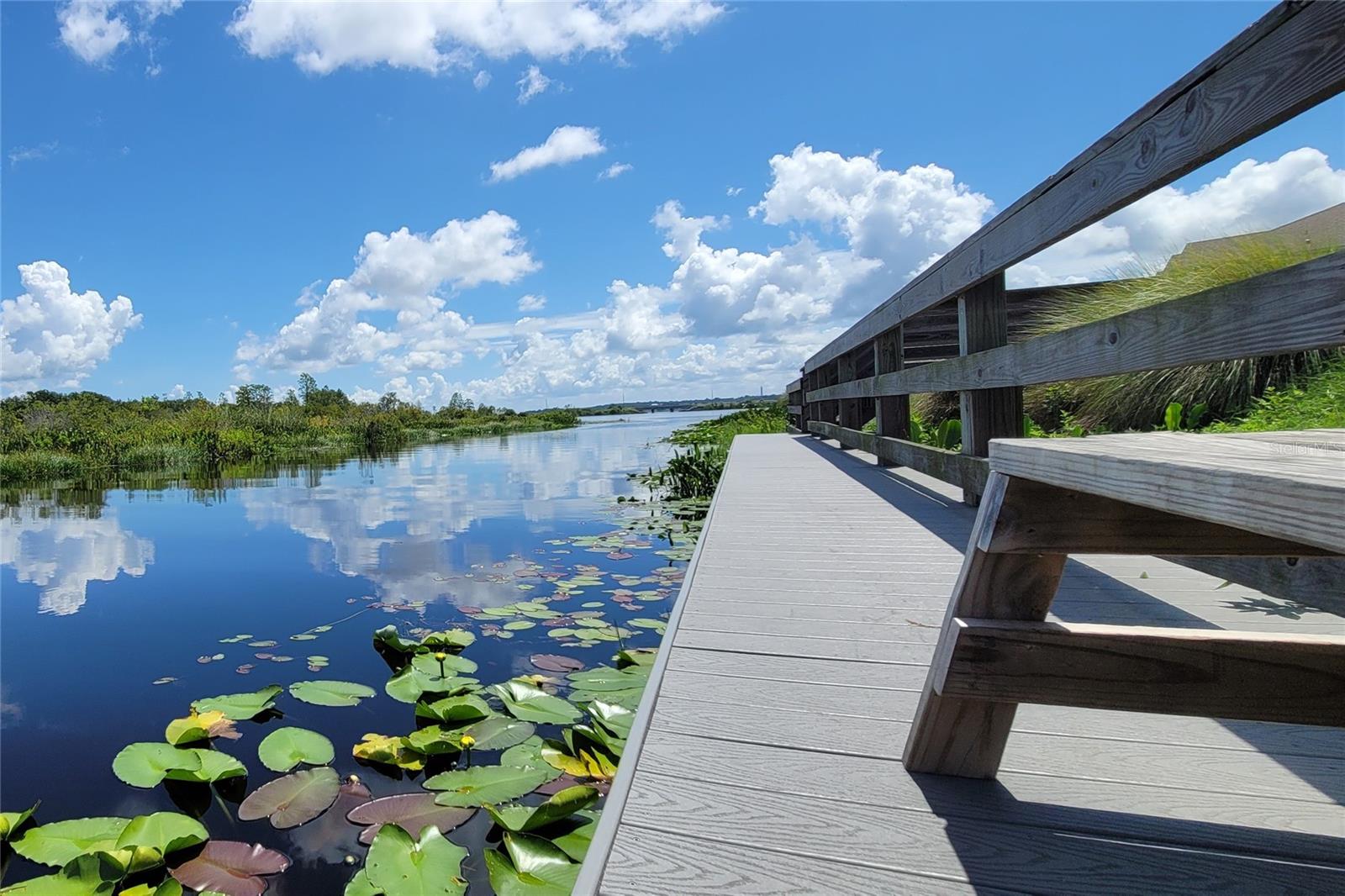 1126 WHITEWATER BAY DR, GROVELAND, FL, 34736