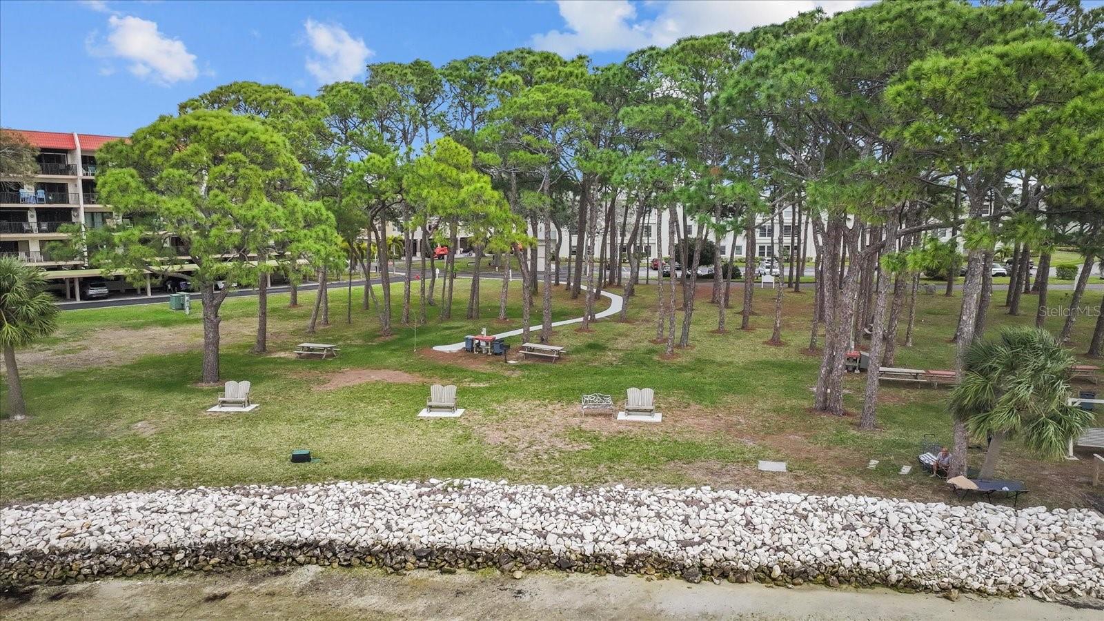 2700 BAYSHORE BLVD #2C/578, DUNEDIN, FL, 34698