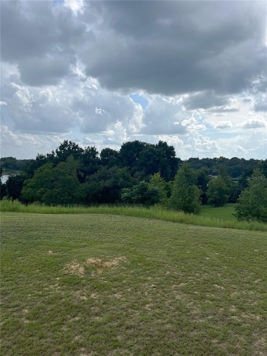 895 MARIETTA LN, EUSTIS, FL, 32726