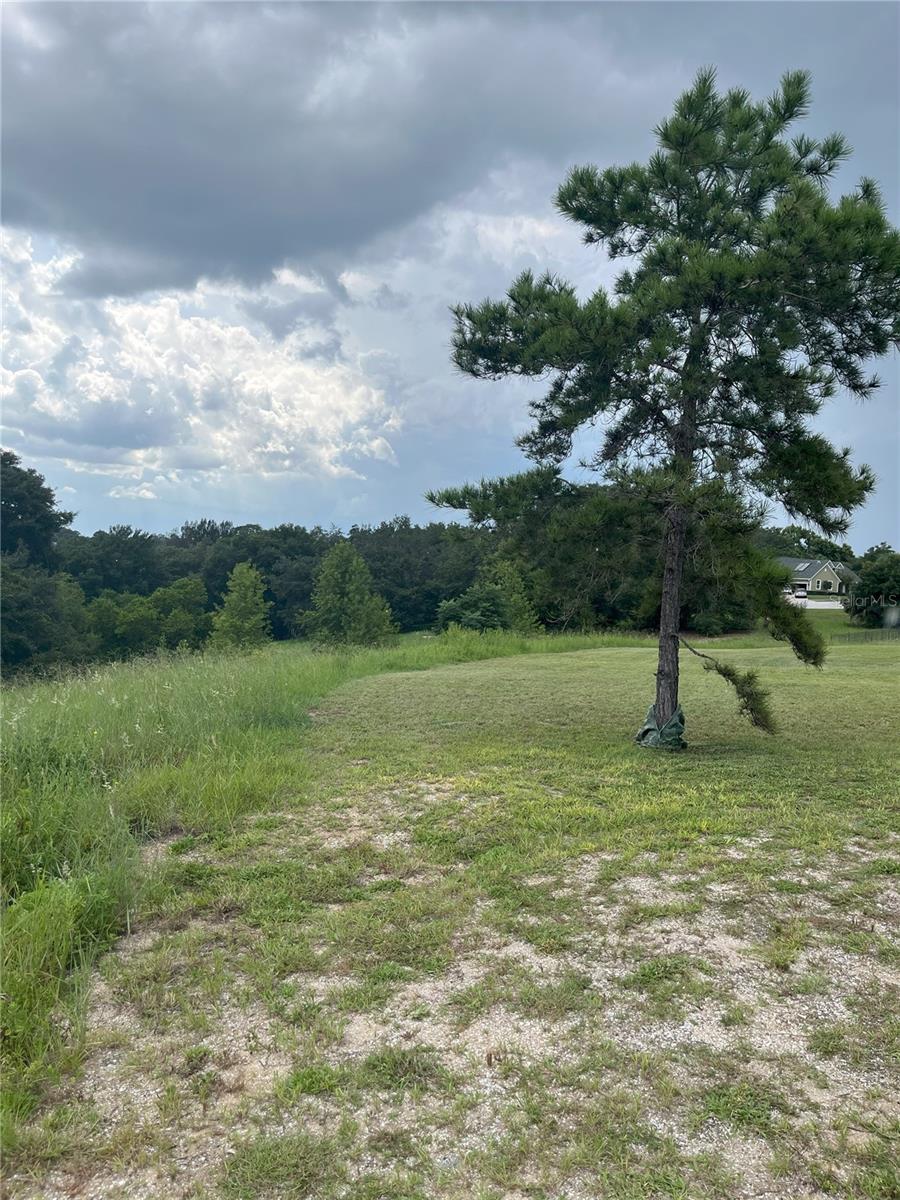895 MARIETTA LN, EUSTIS, FL, 32726
