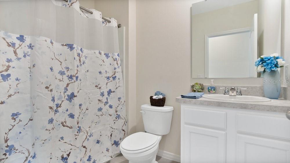 3047 TANSY ST, TAVARES, FL, 32778