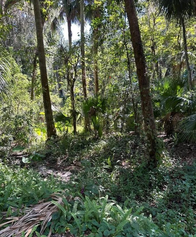 242 FRASER RD, DEBARY, FL, 32713