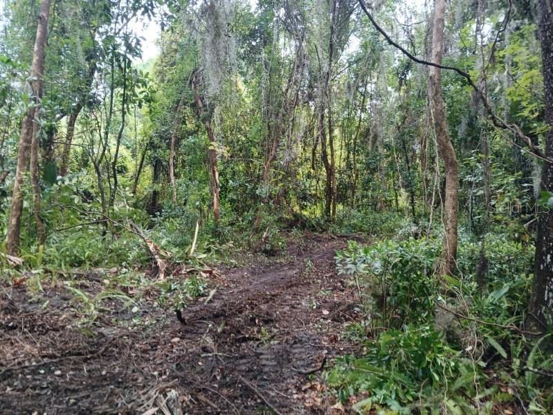 242 FRASER RD, DEBARY, FL, 32713