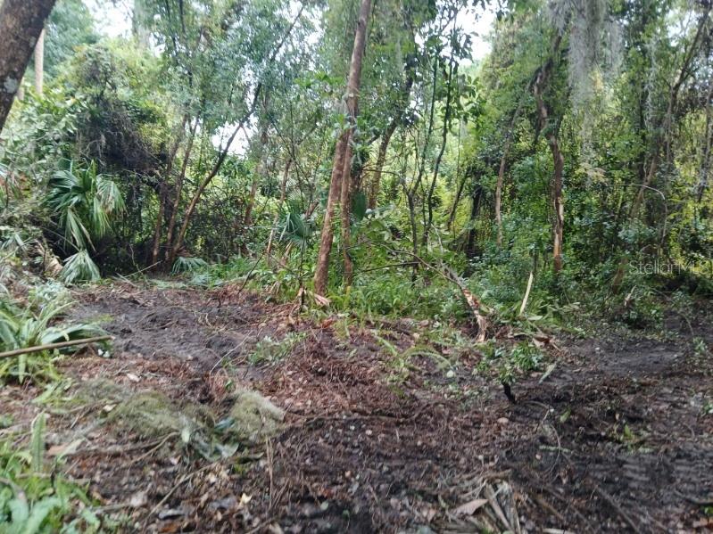 242 FRASER RD, DEBARY, FL, 32713