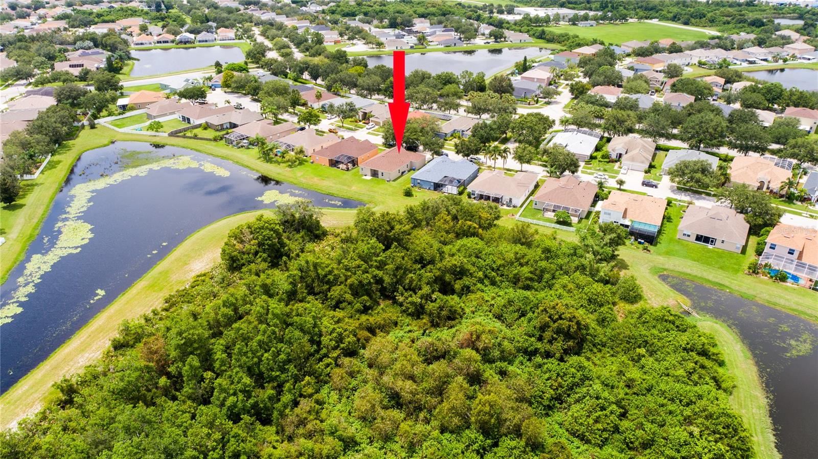 10817 AUSTRALIAN PINE DR, RIVERVIEW, FL, 33579