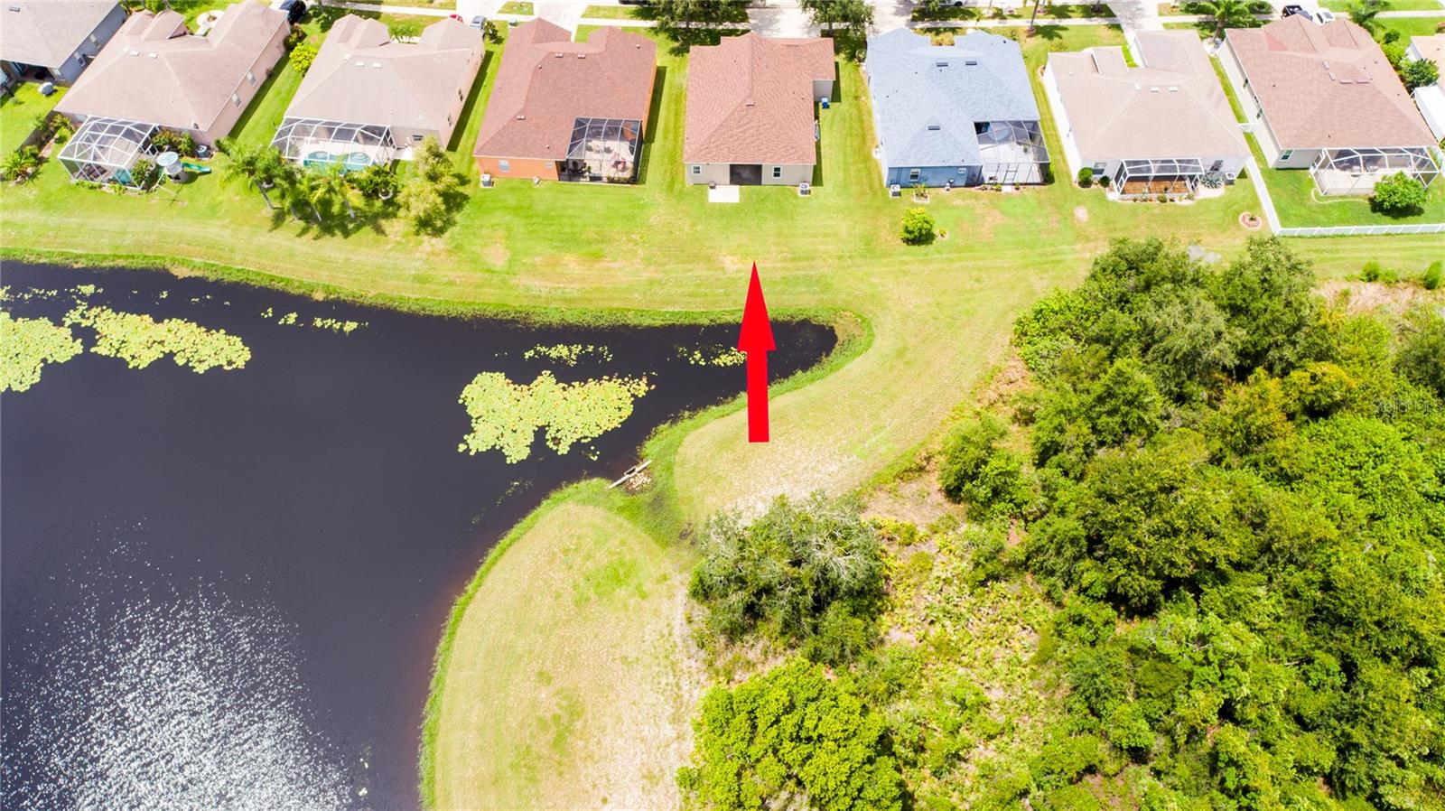 10817 AUSTRALIAN PINE DR, RIVERVIEW, FL, 33579
