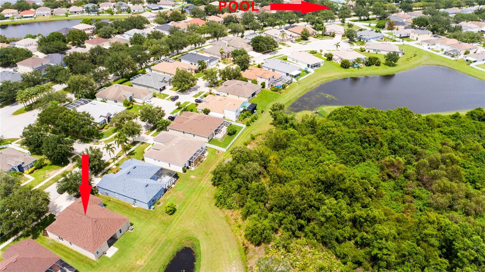 10817 AUSTRALIAN PINE DR, RIVERVIEW, FL, 33579