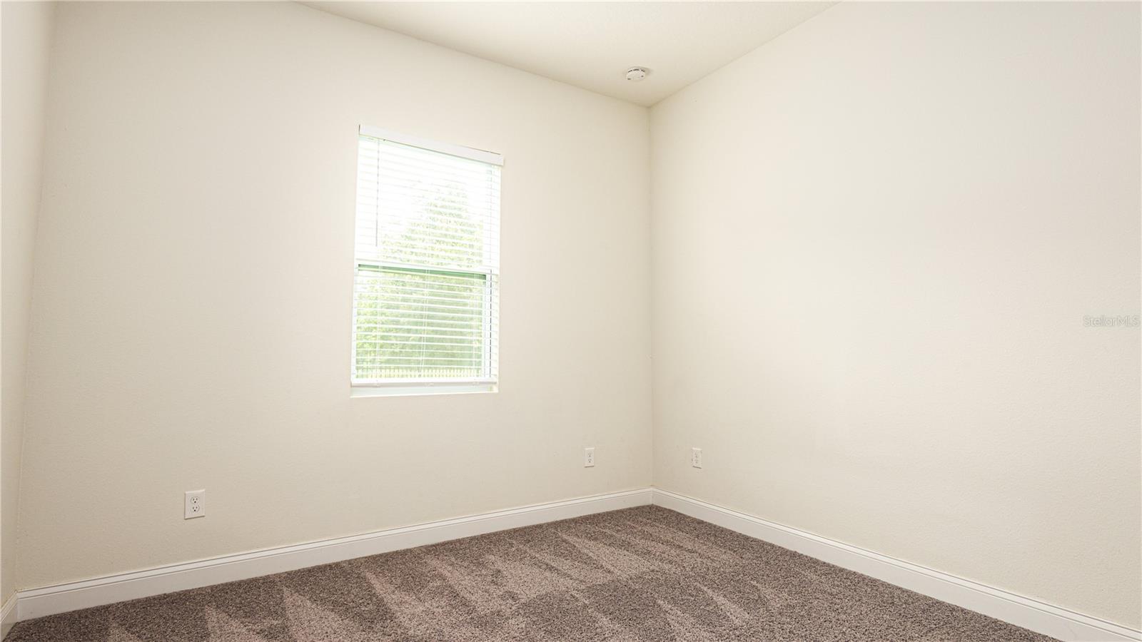 32801 ESTATE GARDEN DR, WESLEY CHAPEL, FL, 33545