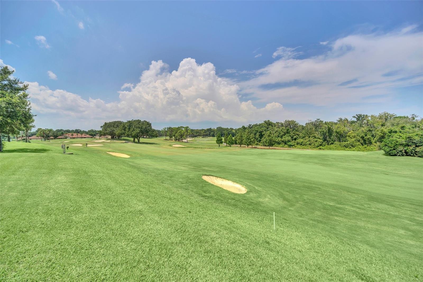 26841 BELLA VISTA DR, HOWEY IN THE HILLS, FL, 34737