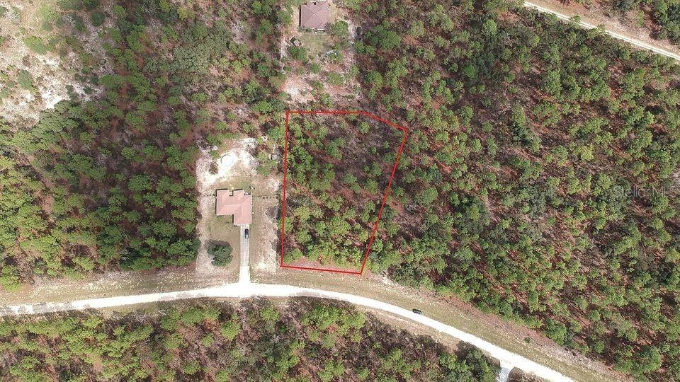 125 SW, OCALA, FL, 34481