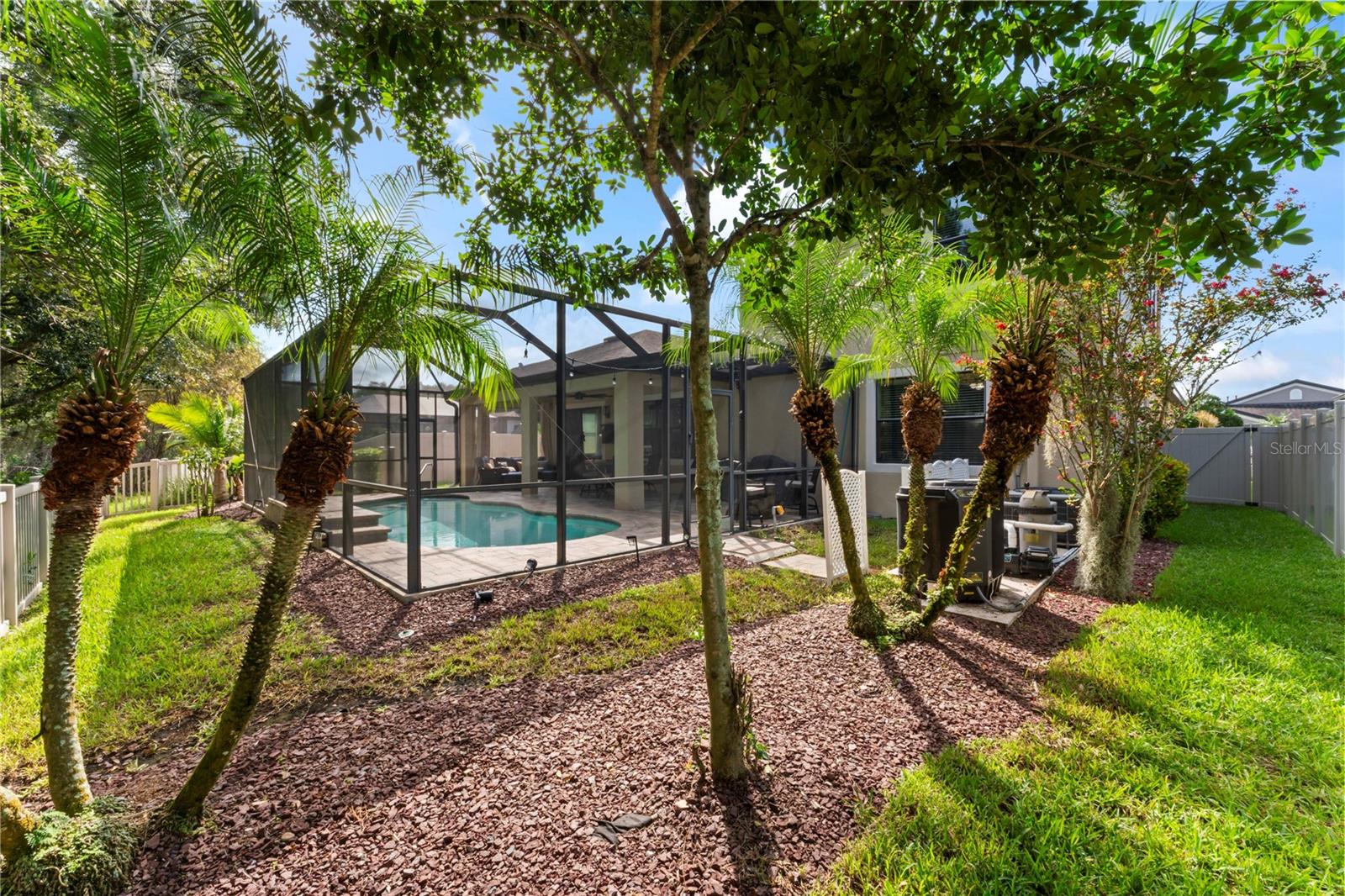 8446 BLUEVINE SKY DR, LAND O LAKES, FL, 34637