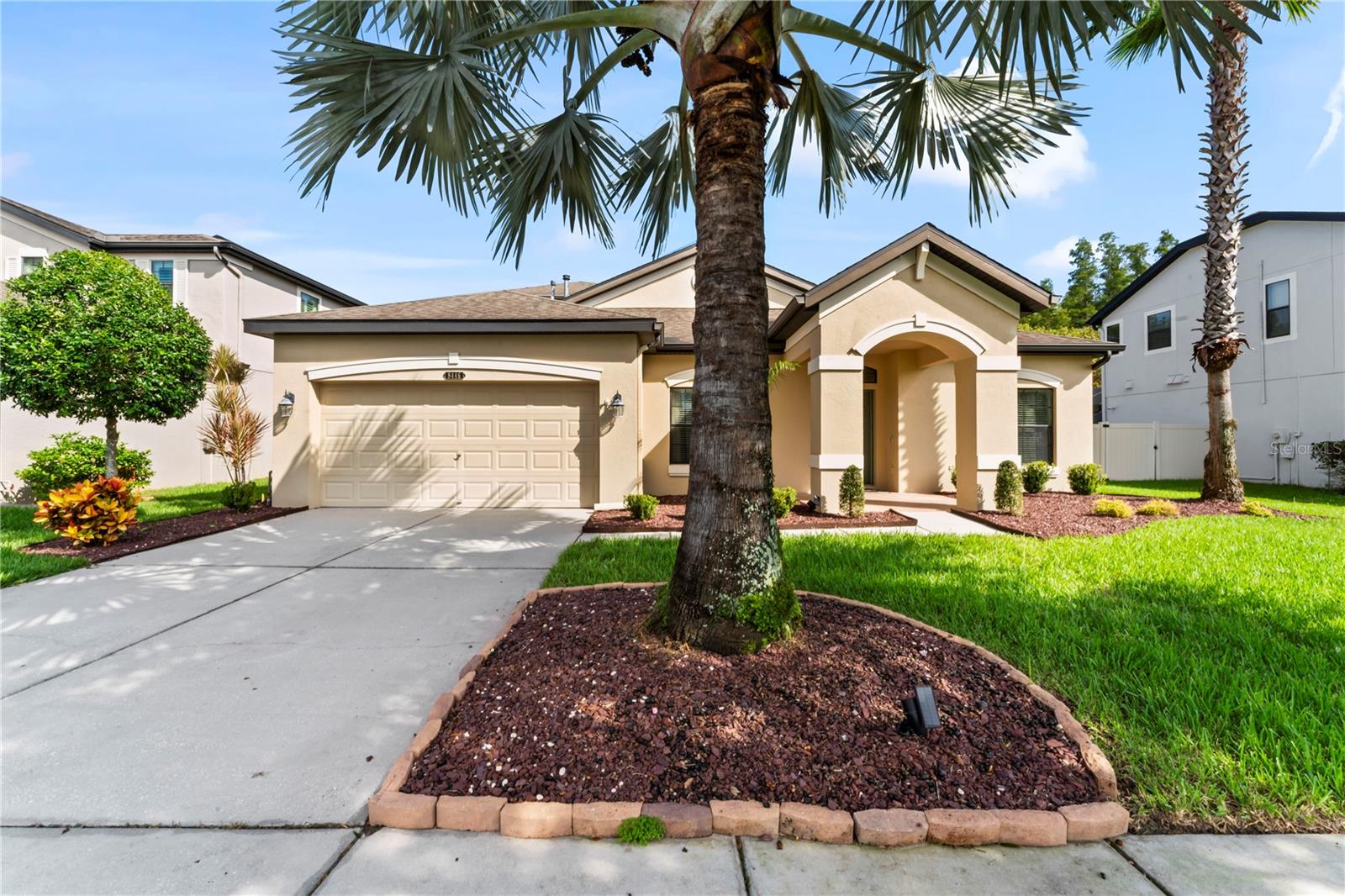 8446 BLUEVINE SKY DR, LAND O LAKES, FL, 34637