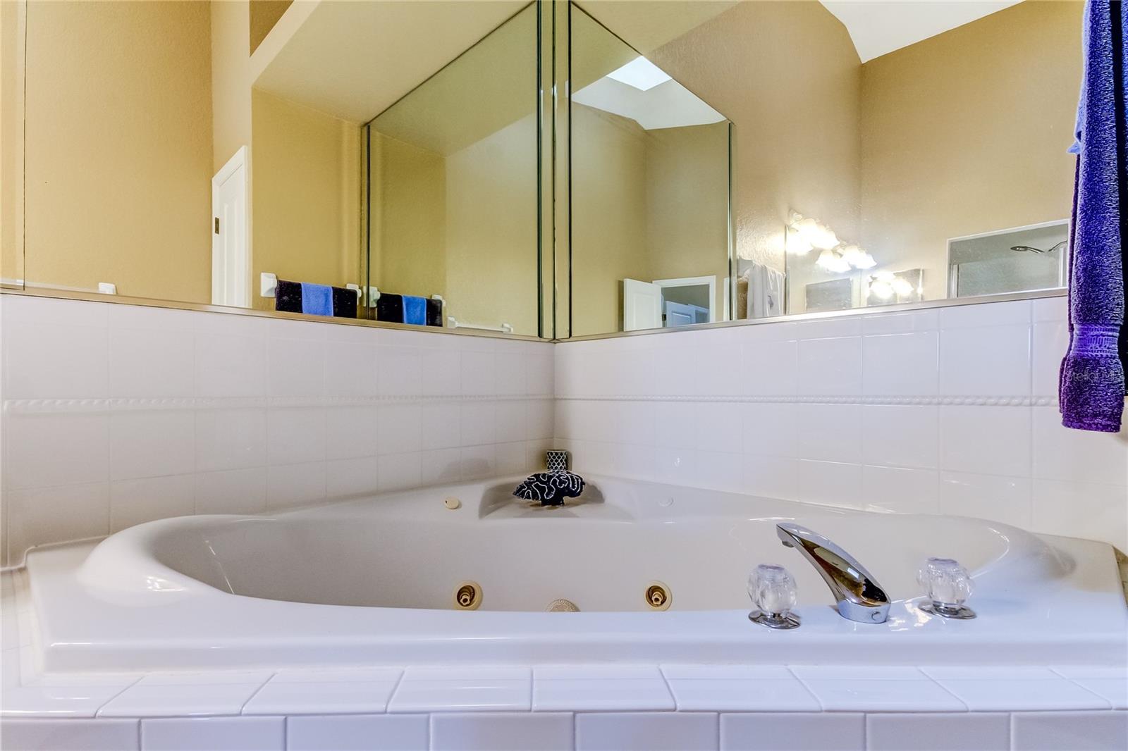 163 BRENT CIR, OLDSMAR, FL, 34677