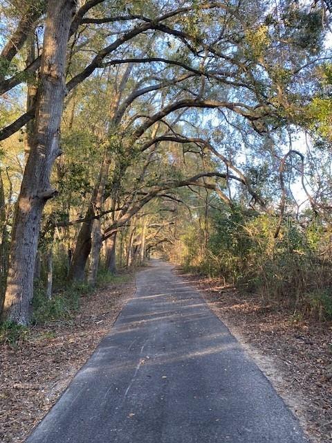 1680 SW 188TH ST, NEWBERRY, FL, 32669