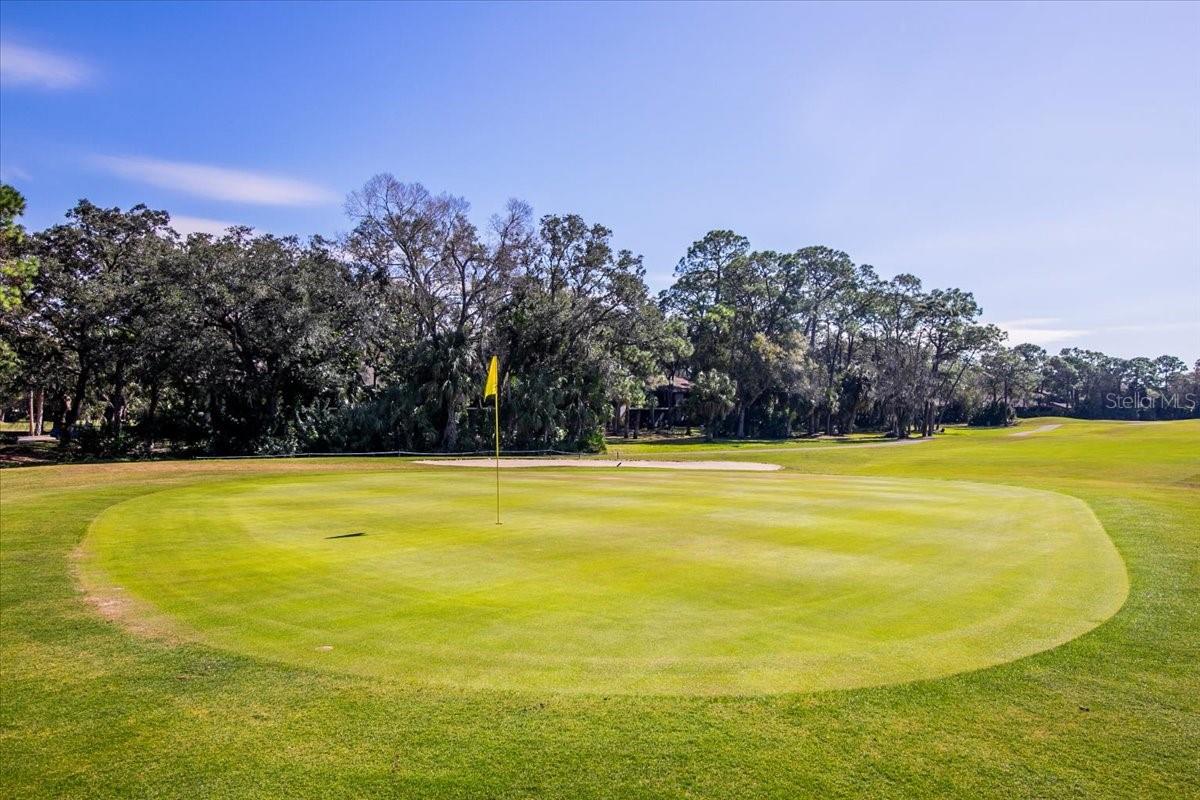 3531 LONGMEADOW #16, SARASOTA, FL, 34235