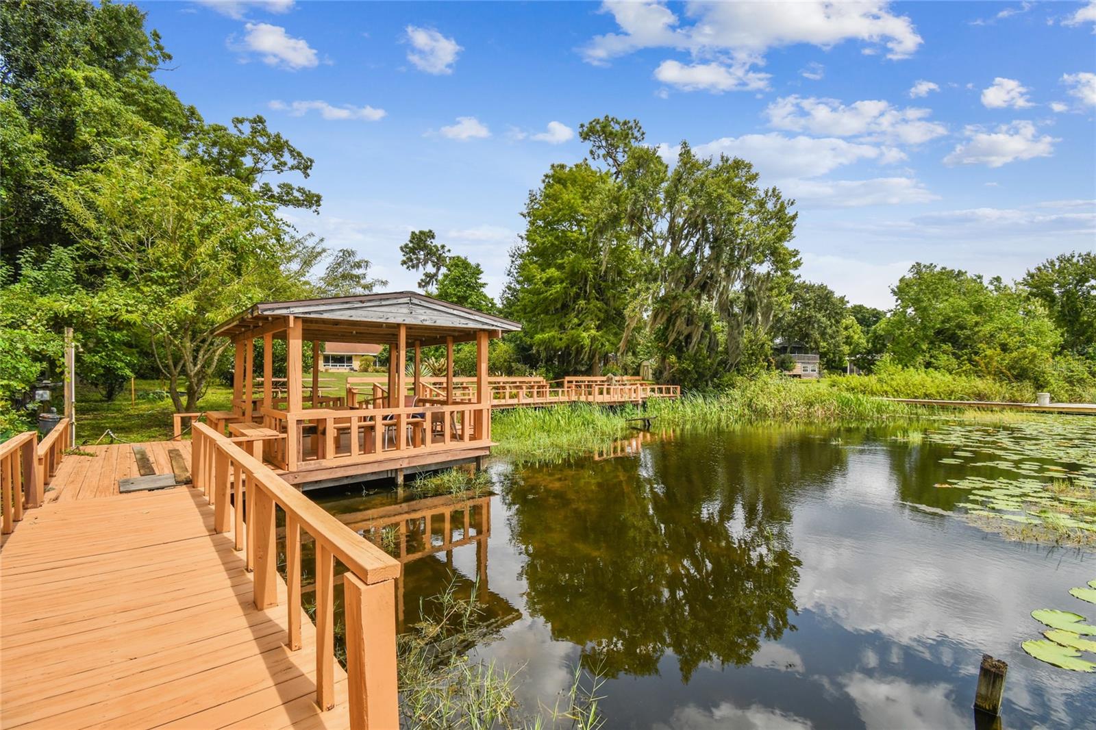 12002 MCKINNON RD, WINDERMERE, FL, 34786