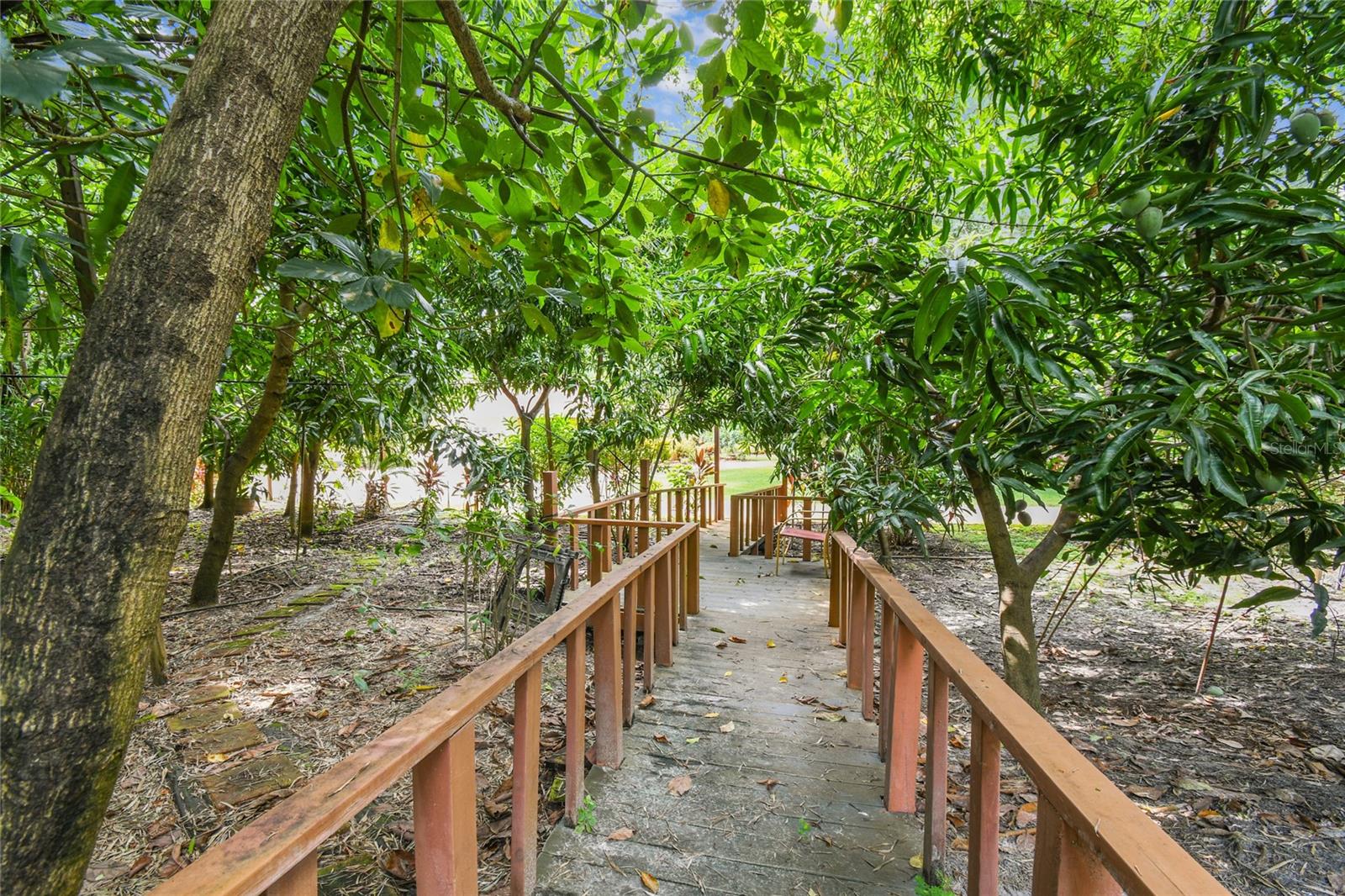 12002 MCKINNON RD, WINDERMERE, FL, 34786