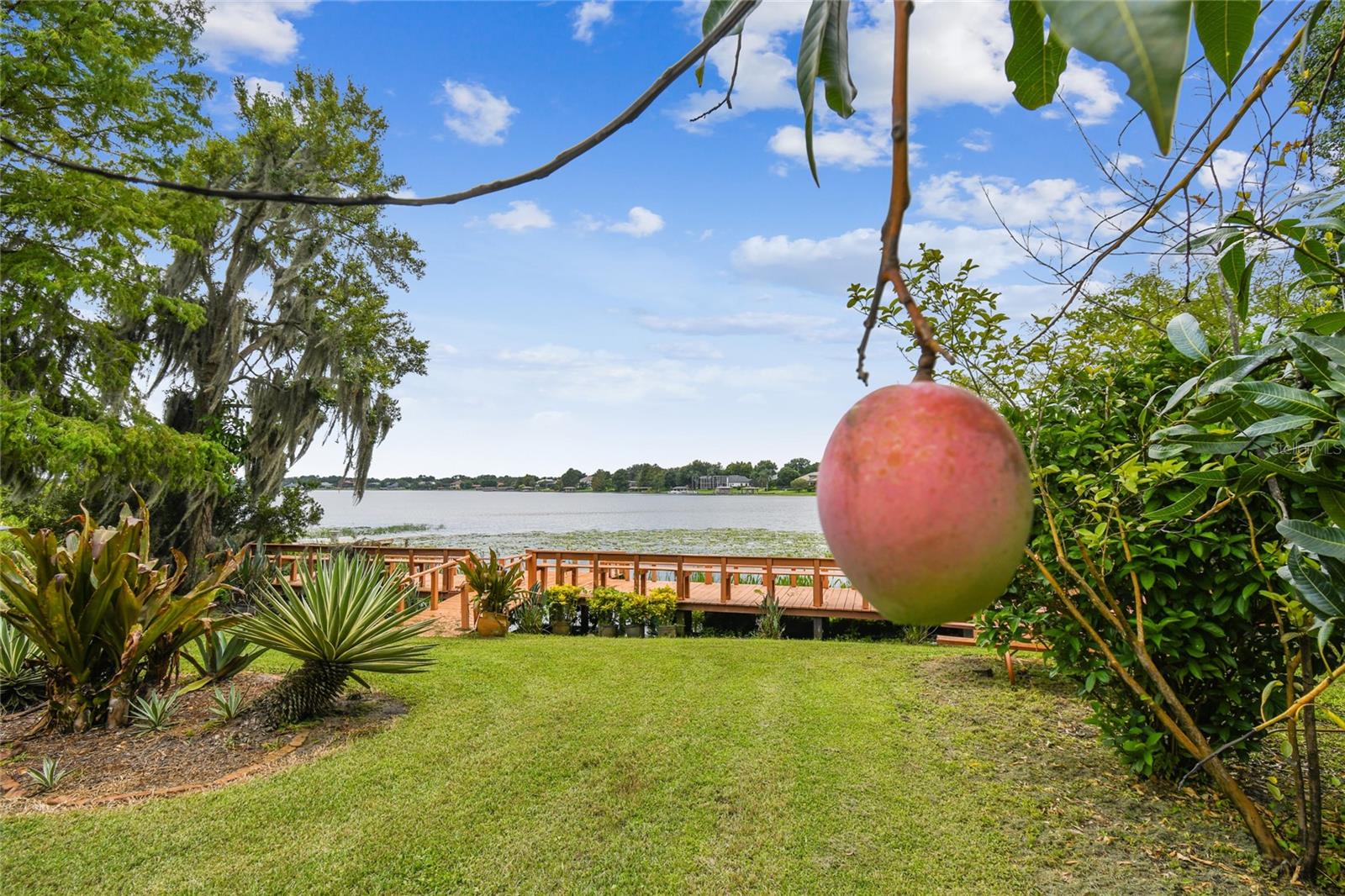 12002 MCKINNON RD, WINDERMERE, FL, 34786