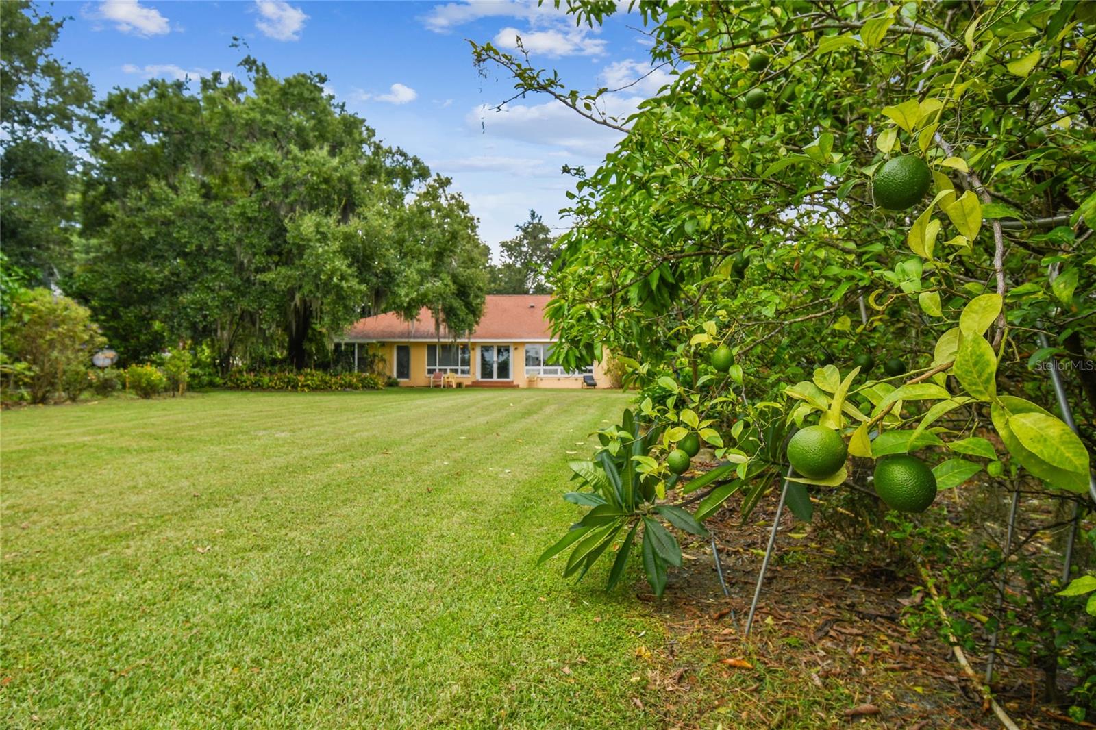 12002 MCKINNON RD, WINDERMERE, FL, 34786