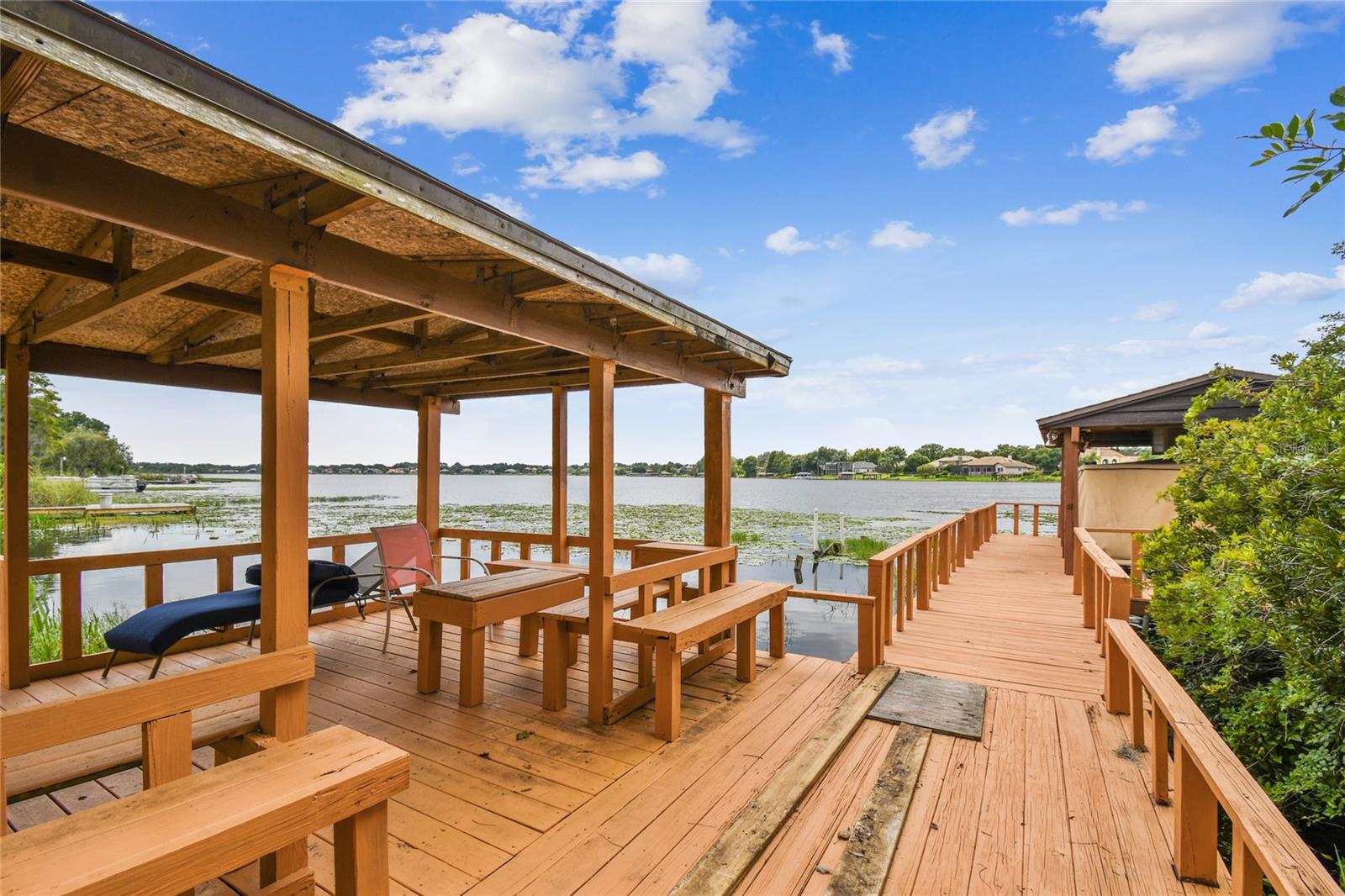 12002 MCKINNON RD, WINDERMERE, FL, 34786