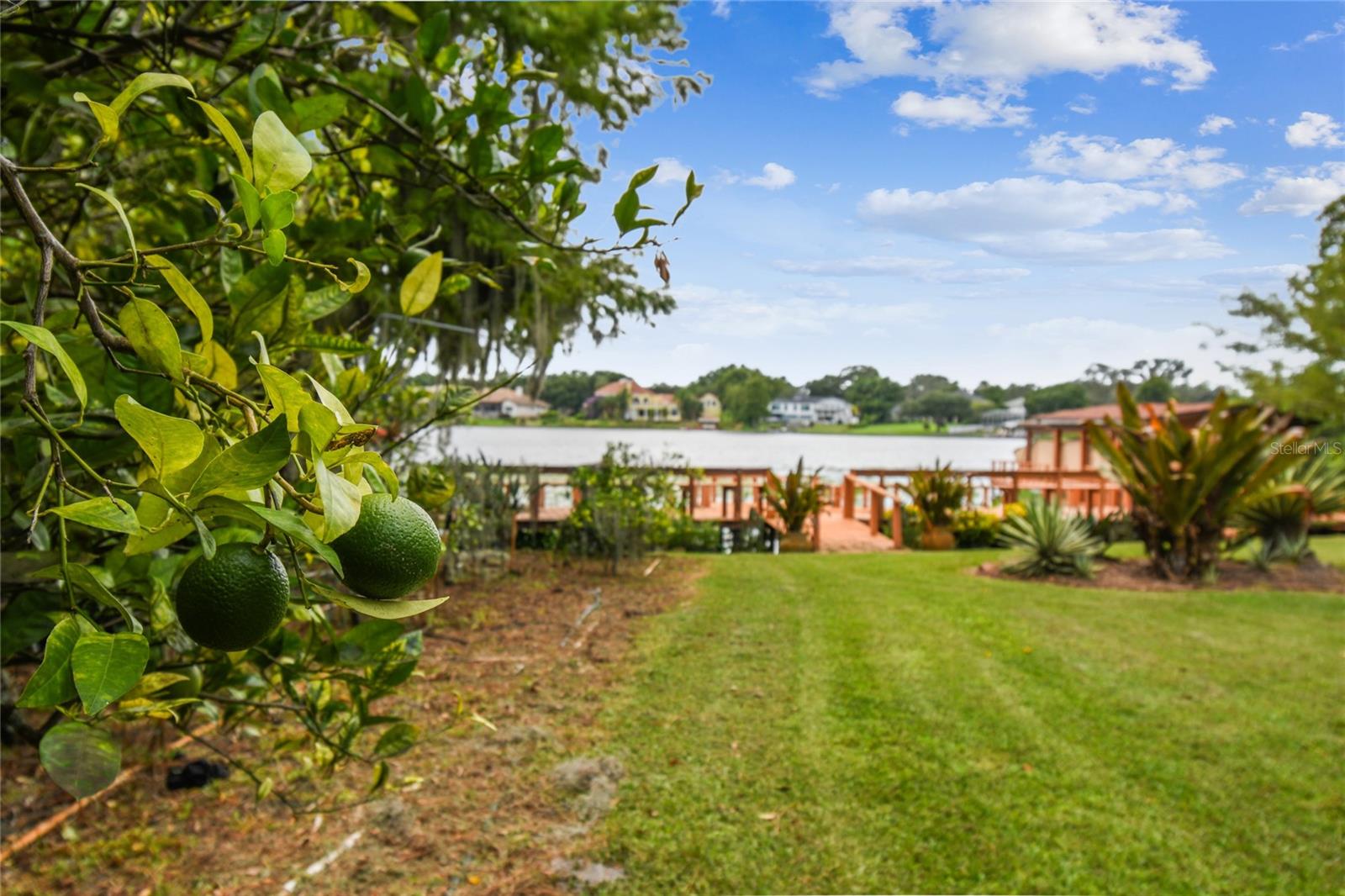 12002 MCKINNON RD, WINDERMERE, FL, 34786