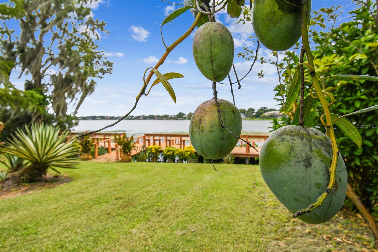 12002 MCKINNON RD, WINDERMERE, FL, 34786