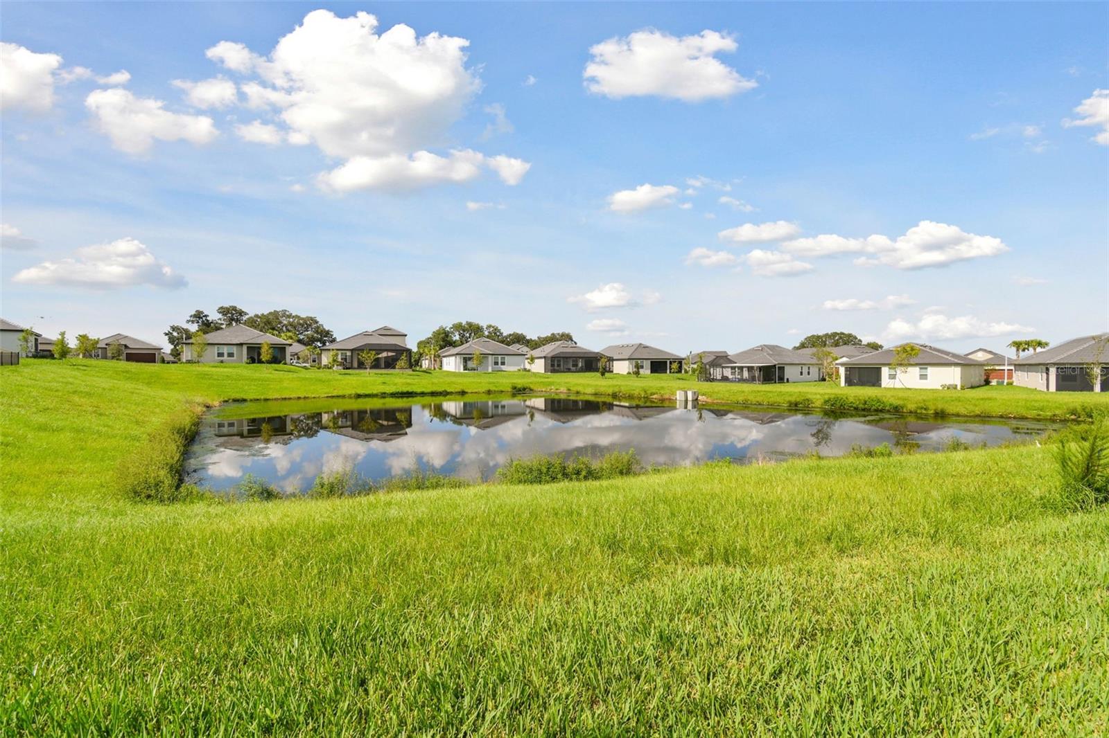 10583 TUPPER CAY DR, SAN ANTONIO, FL, 33576