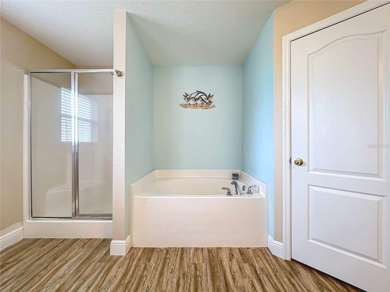 36839 WOLF CT, EUSTIS, FL, 32726