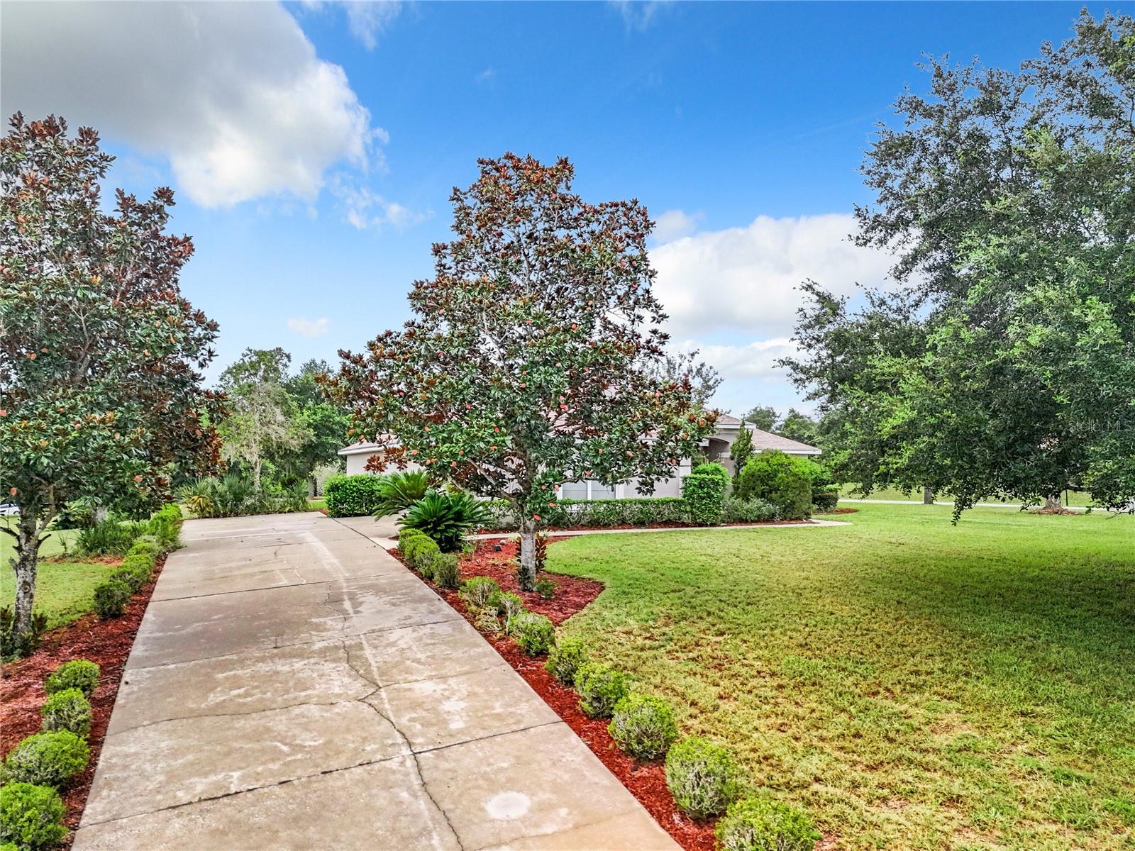 36839 WOLF CT, EUSTIS, FL, 32726