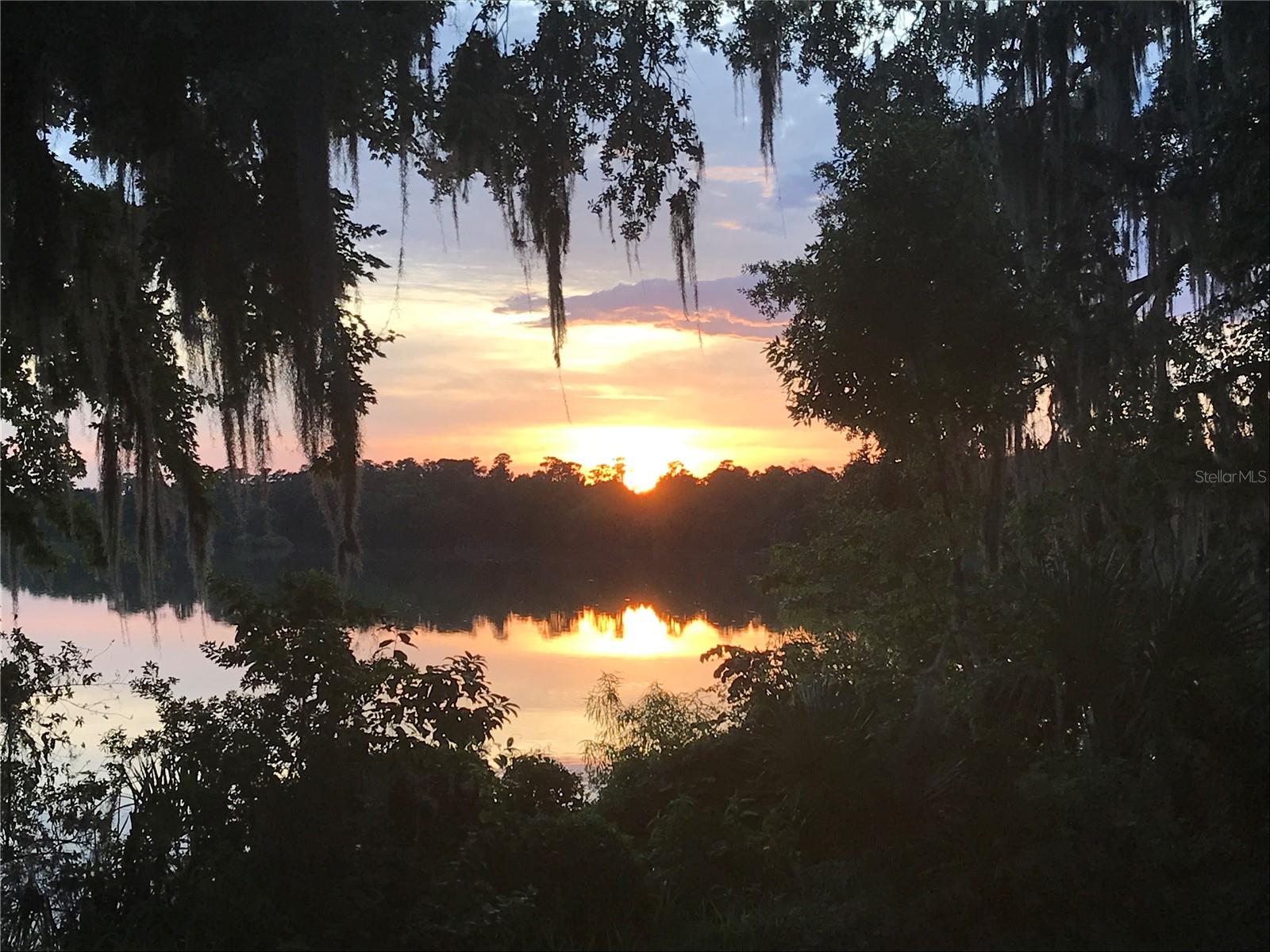 2712 SW 14TH DR #119, GAINESVILLE, FL, 32608