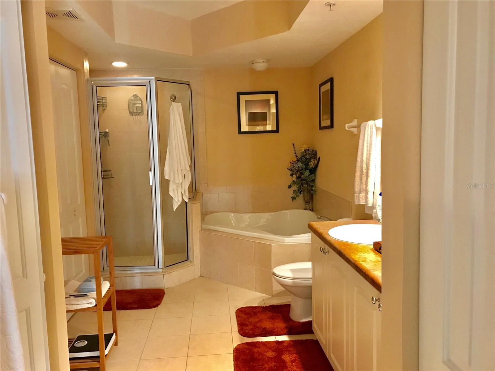 4516 SEAGULL DR #214, NEW PORT RICHEY, FL, 34652