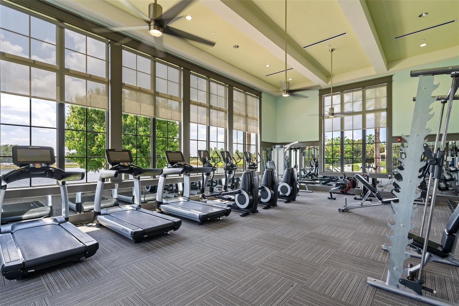 15620 PANTHER LAKE DR, WINTER GARDEN, FL, 34787