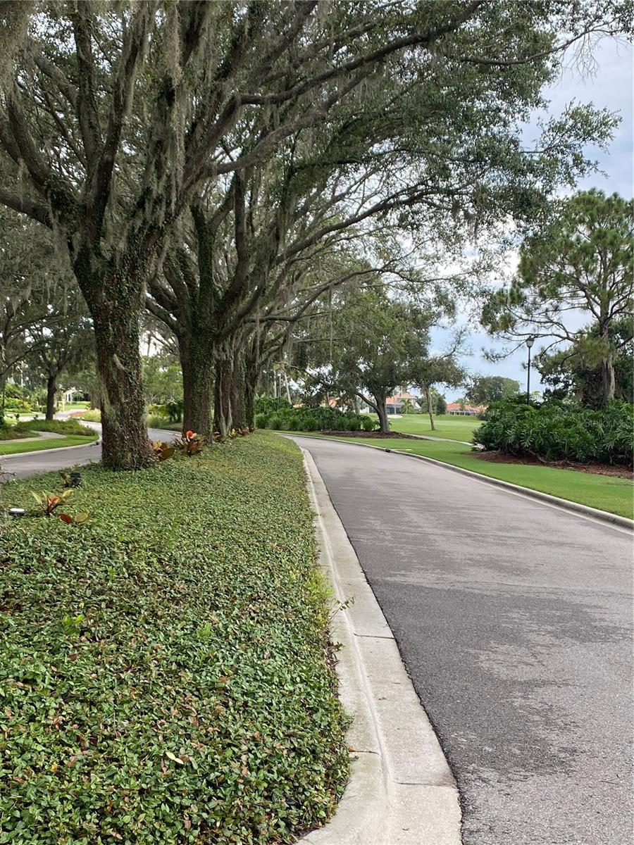 5280 HYLAND HILLS AVE #1812, SARASOTA, FL, 34241