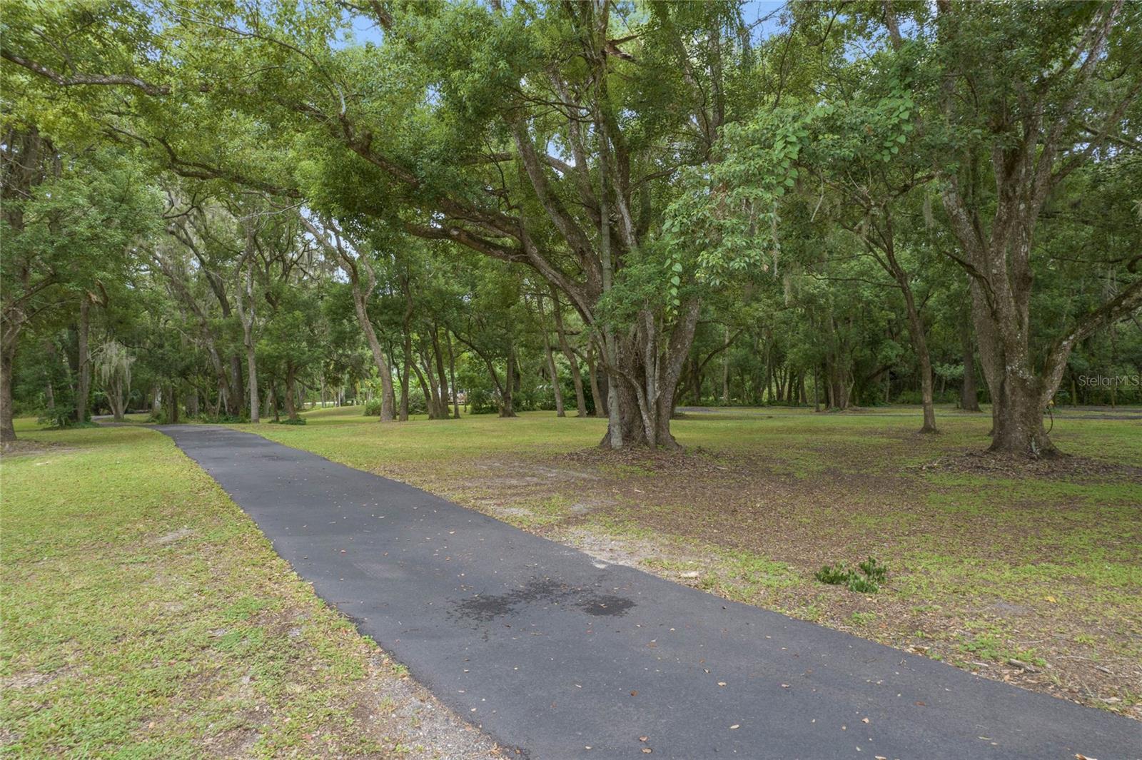 1136 BRICK RD, WINTER GARDEN, FL, 34787