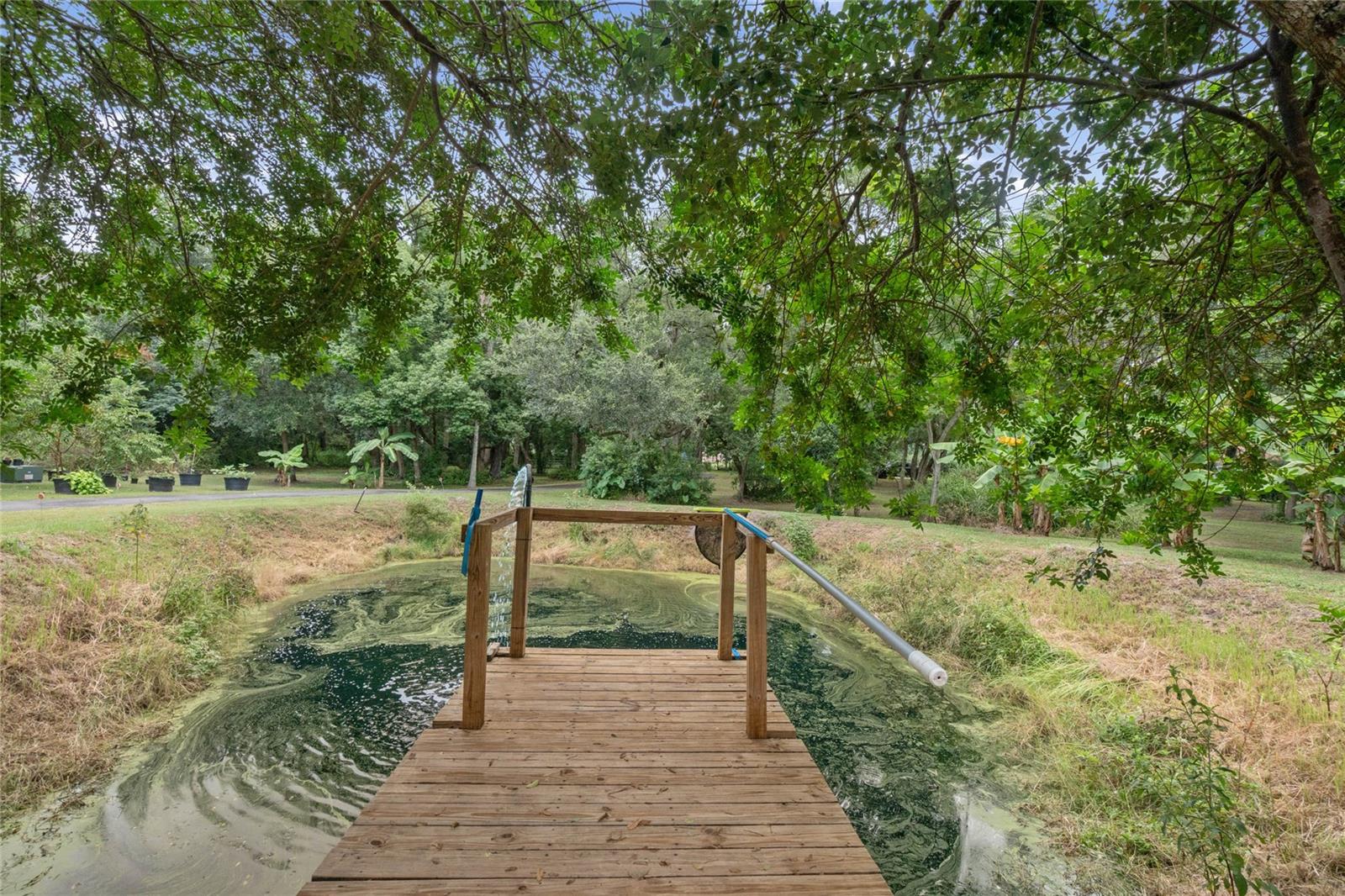 1136 BRICK RD, WINTER GARDEN, FL, 34787