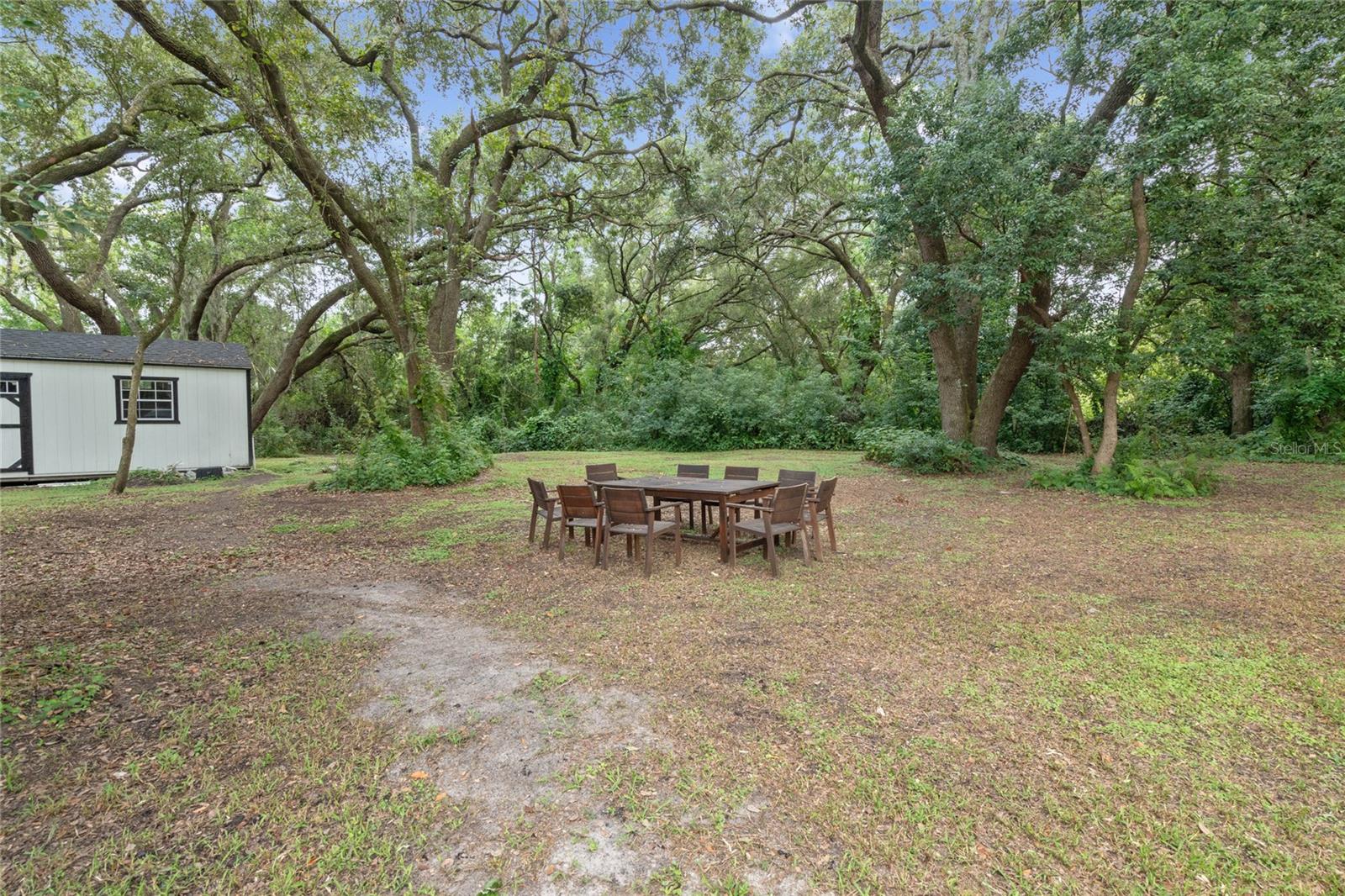 1136 BRICK RD, WINTER GARDEN, FL, 34787