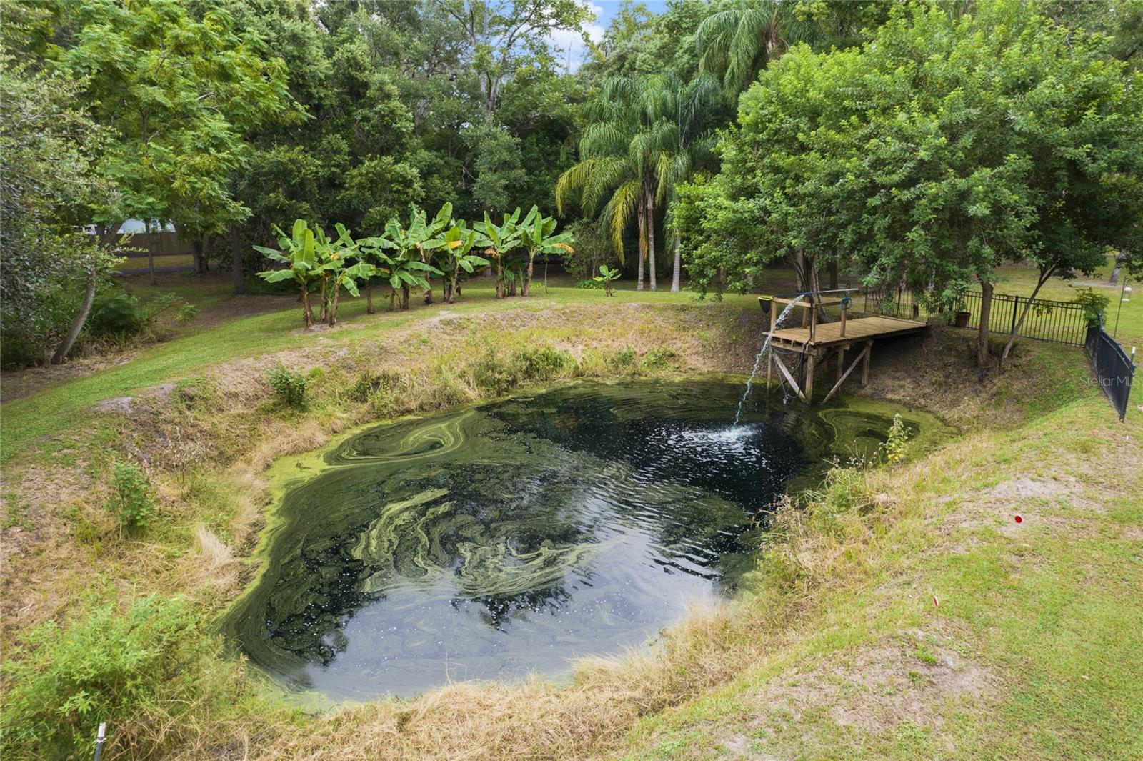 1136 BRICK RD, WINTER GARDEN, FL, 34787