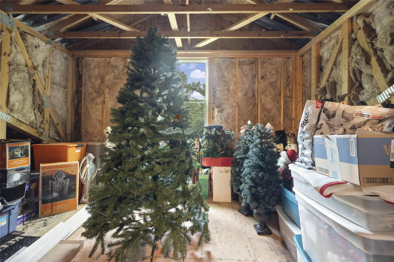 1136 BRICK RD, WINTER GARDEN, FL, 34787