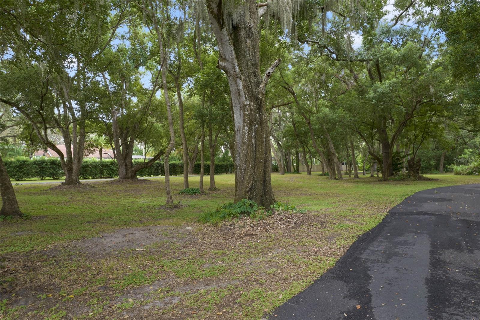 1136 BRICK RD, WINTER GARDEN, FL, 34787